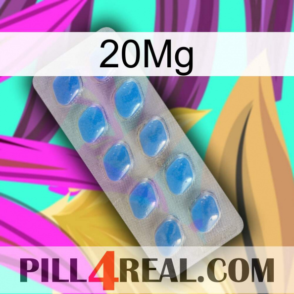 20Mg 22.jpg